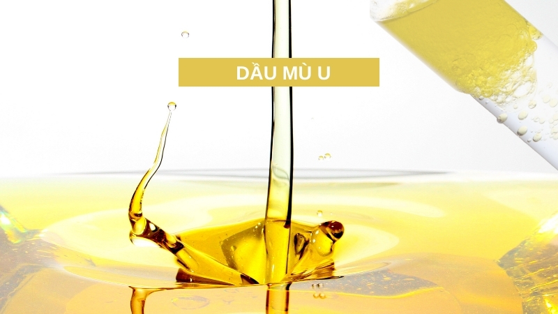 Dầu Mù U Cho Vết Thương Hở: Công Dụng, Cách Dùng Đúng Và An Toàn